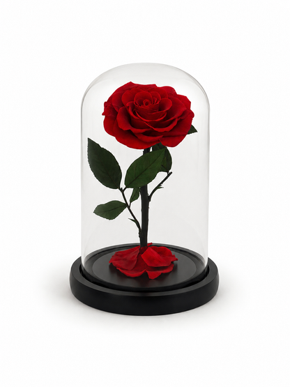 Eternal Rose & Necklace Gift Bundle | Choose Your Piece