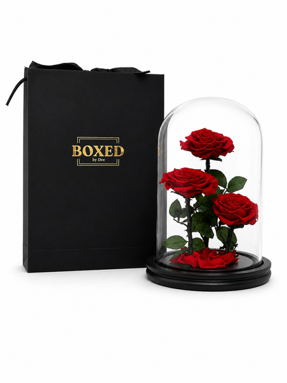 Eternal Trio | Three Real Preserved Roses Under Glass Dome