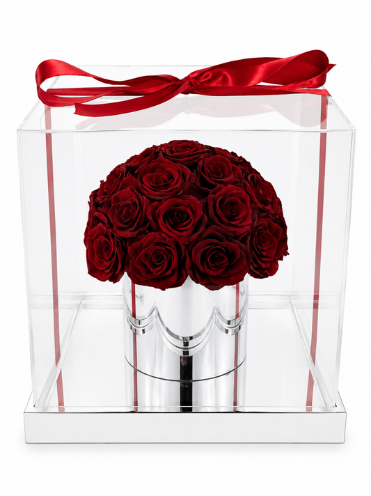 A bouquet of 40 deep red preserved roses arranged in a round dome shape inside a clear acrylic gift box with a red satin ribbon tied at the top, set against a plain white background.