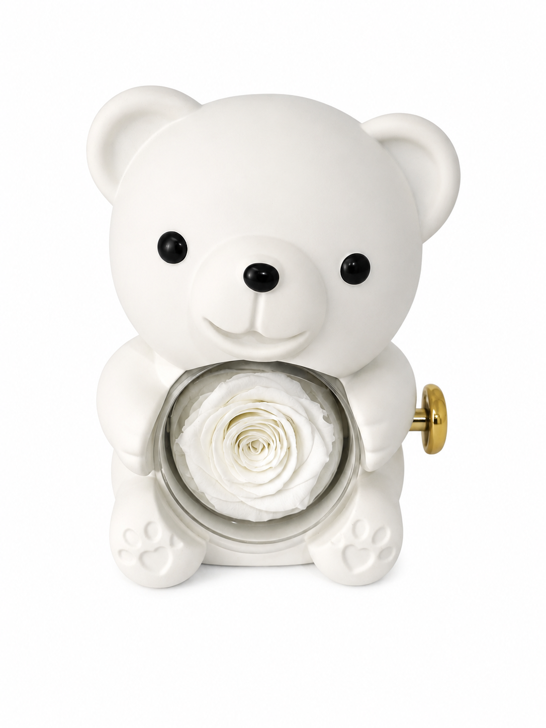 Preserved Rose Bear Jewellery Gift Box