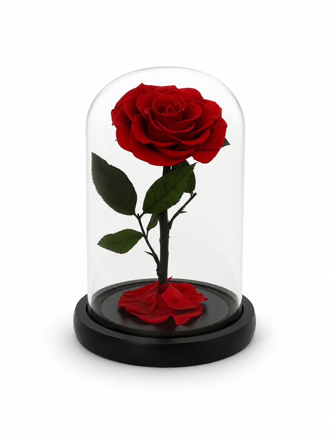 A single preserved red rose with green leaves displayed inside a clear glass dome on a round black base, photographed on a clean white background.