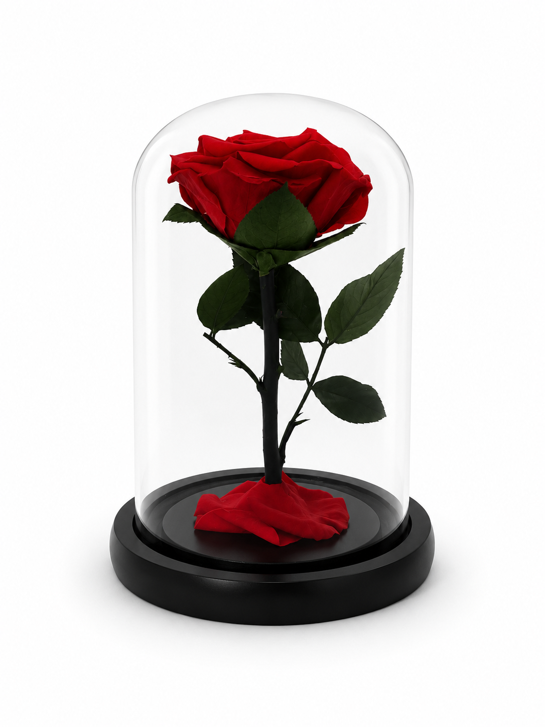 A single preserved red rose with green leaves displayed inside a clear glass dome on a round black base, photographed against a plain white background.