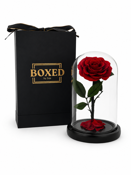 A single preserved red rose under a clear glass dome with a black base, displayed next to a black gift box with gold 'BOXED by Dee' branding on a white background.