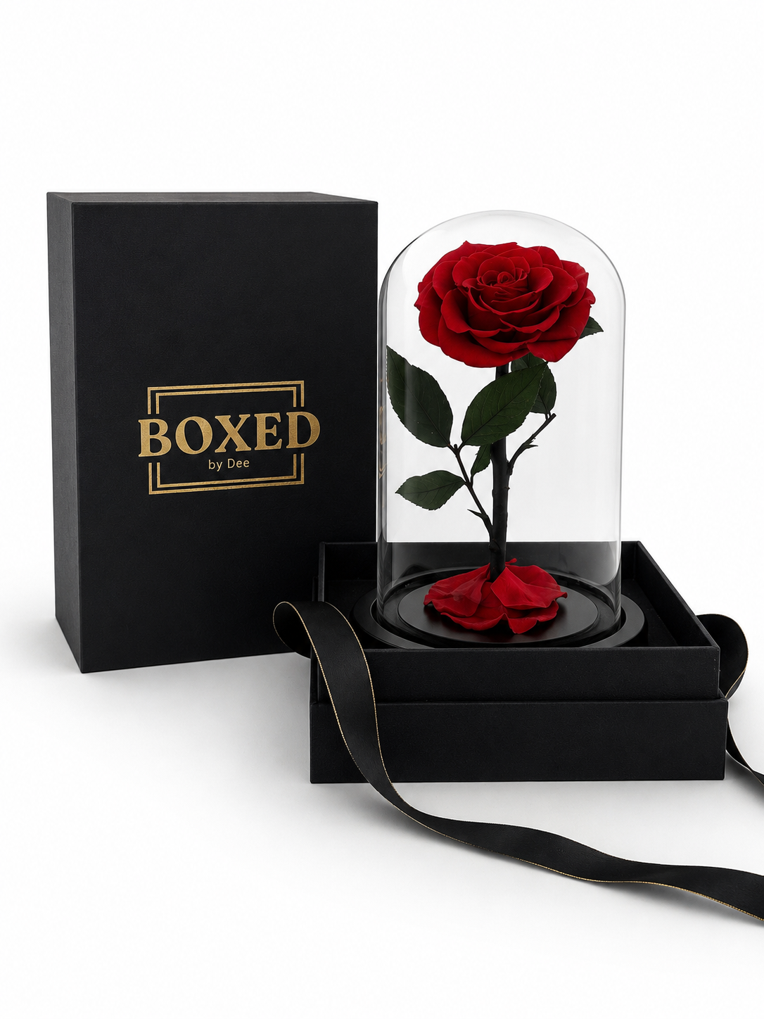 A preserved red rose under a clear glass dome, displayed next to a black gift box with gold 'BOXED by Dee' branding and an open black presentation box with a black ribbon on a white background.
